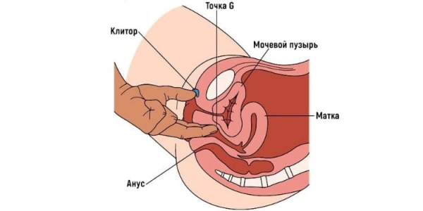 Где находится точка G
